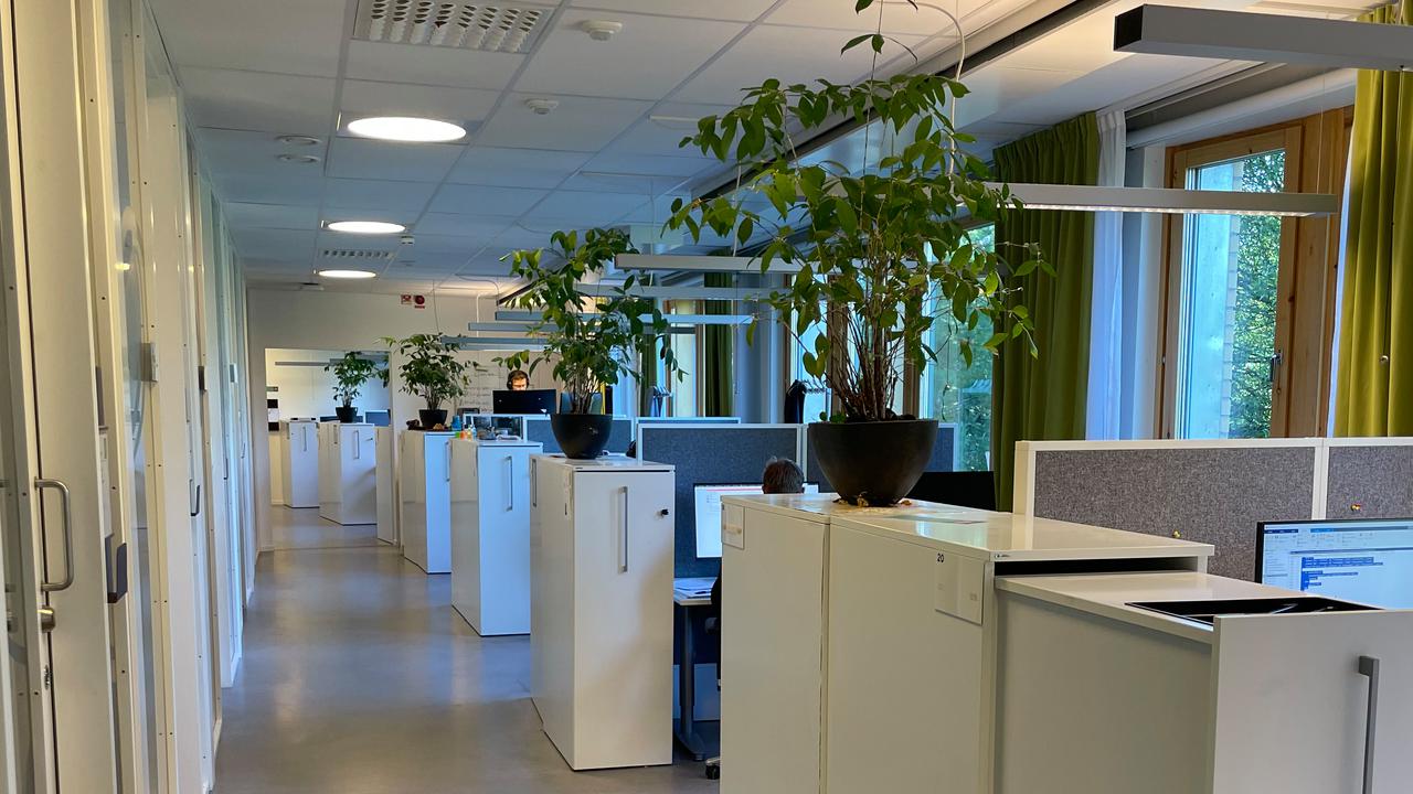 En lång korridor med en växt i mitten.