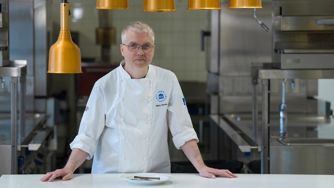 Björn NorénUniversitetsadjunkt vid Institutionen för kost- och måltidsvetenskapRoll: Studierektor