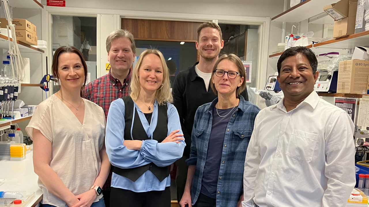 Group picture research group Lena Gunhaga