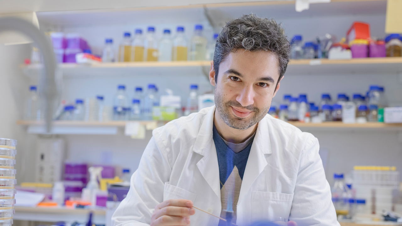 Porträtt på Felipe Cava, universitetslektor vid Institutionen för molekylärbiologi, Umeå universitet.
