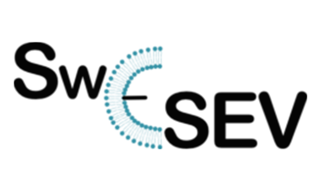 The Swedish EV Network