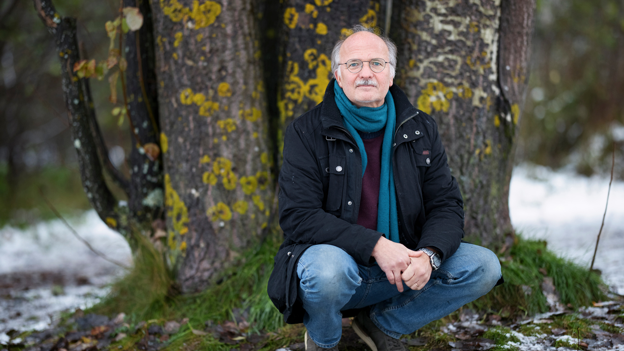 Stefan Jansson framför asp på Umeå campus