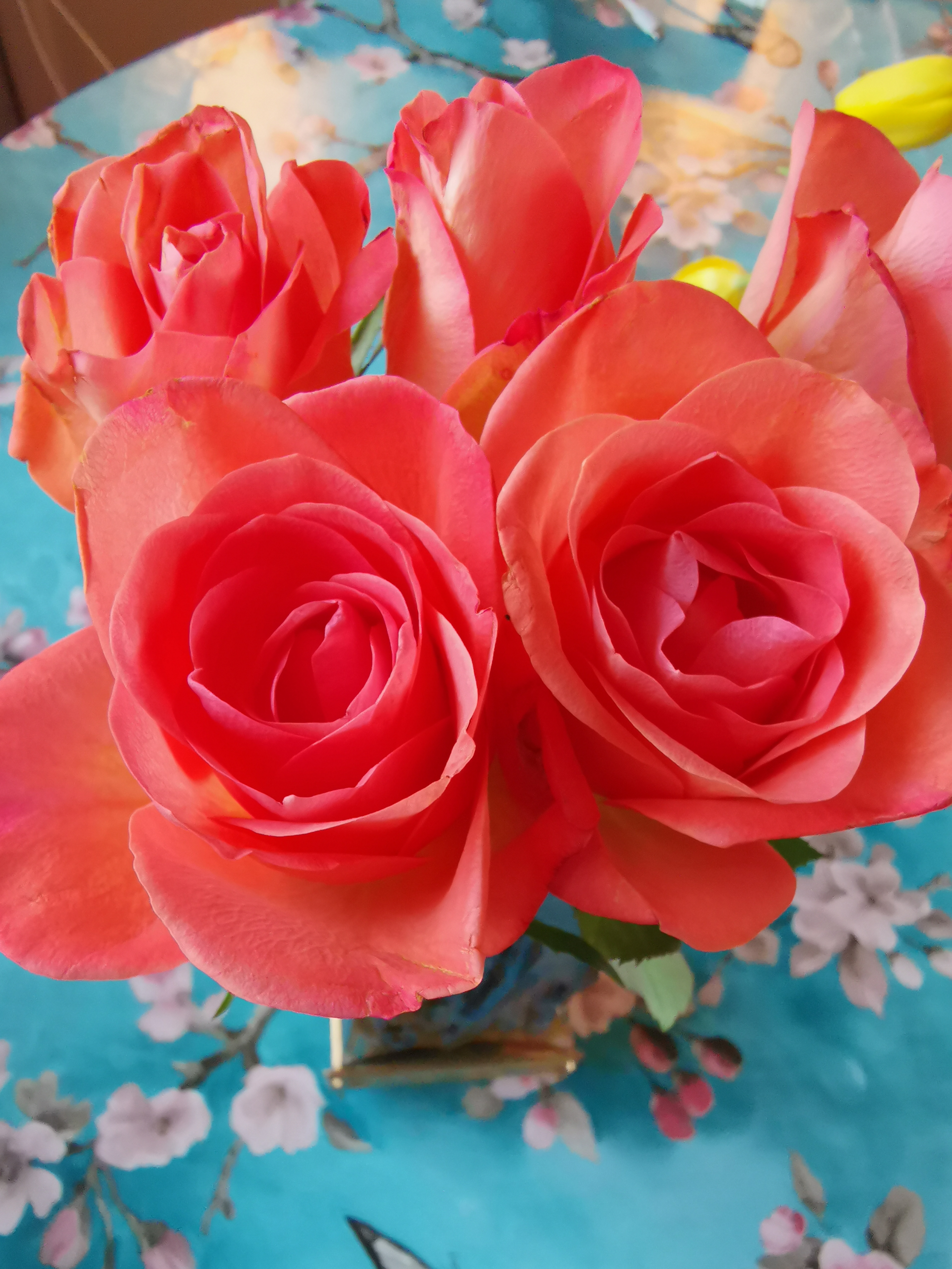 Personalbild Maarit Onkalo