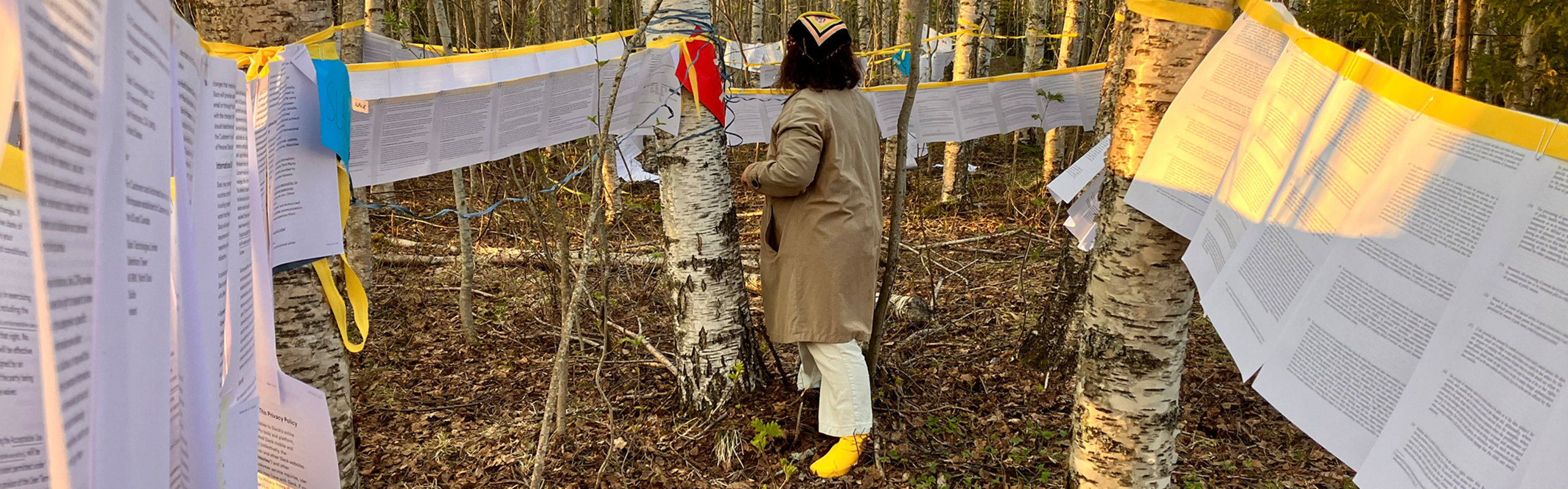 Thematic image describing the research project