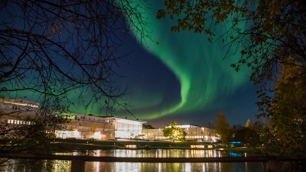 A green aurora borealis in the night sky