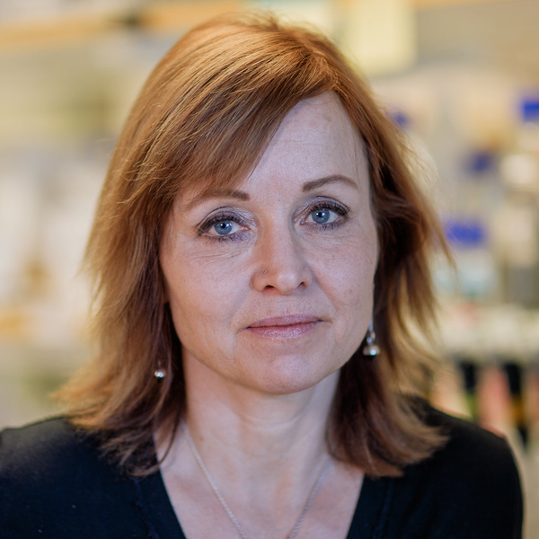 Bild på Helena Edlund