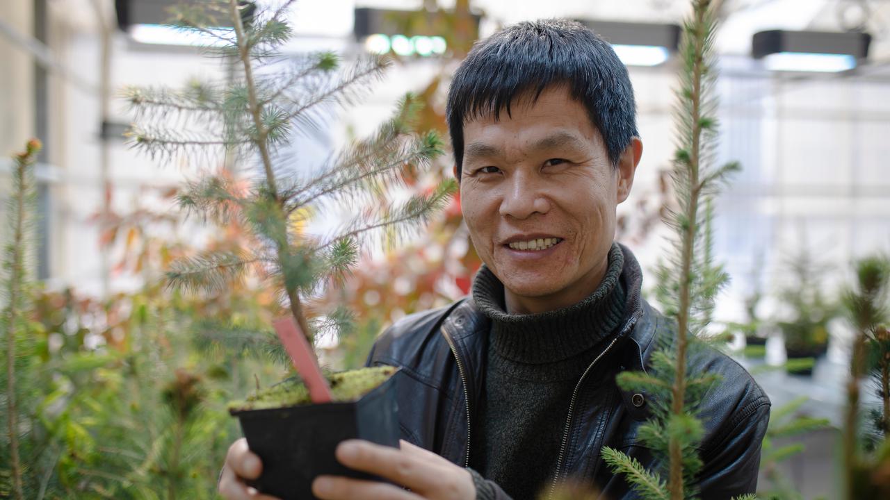 Porträtt av Jian-Feng Mao i ett växthus där han håller en kruka med en ung tall i händerna. Jian-Feng Mao