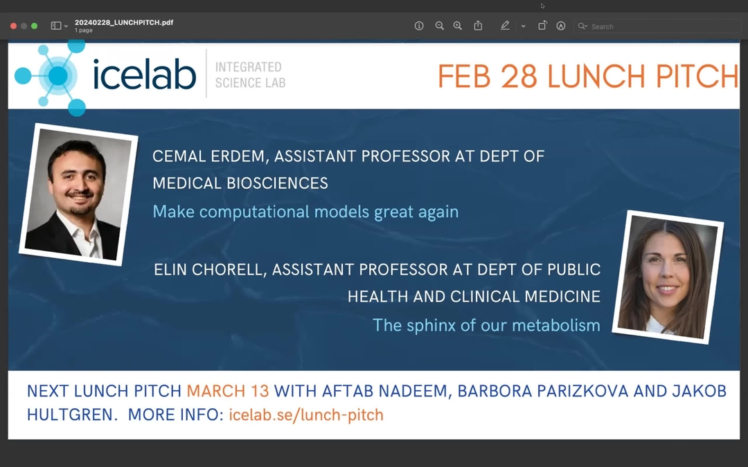 Film: Lunch Pitch: 2024-02-28: Cemal Erdem and Elin Chorell