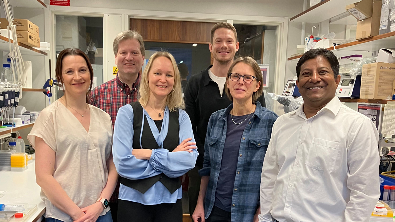 Group picture research group Lena Gunhaga