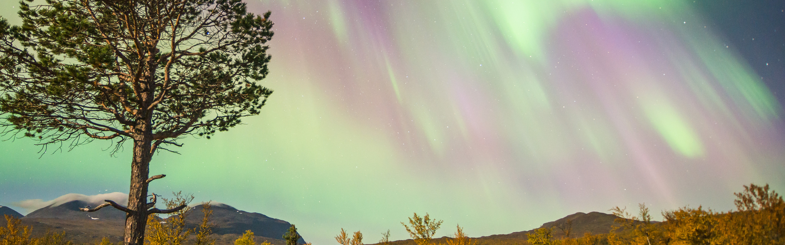 Bild på norrsken över fjällandskap.