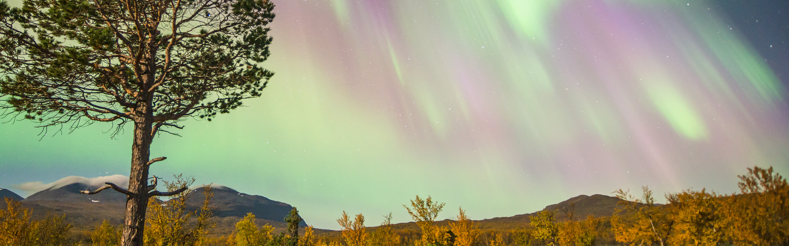 Bild på norrsken över fjällandskap.