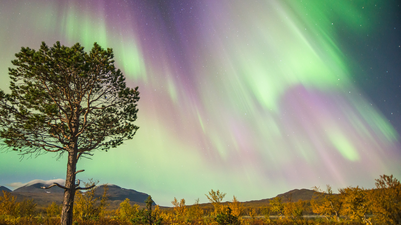 Bild på norrsken över fjällandskap.