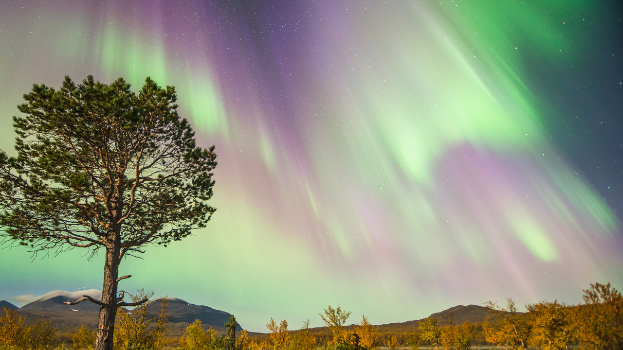 Bild på norrsken över fjällandskap.