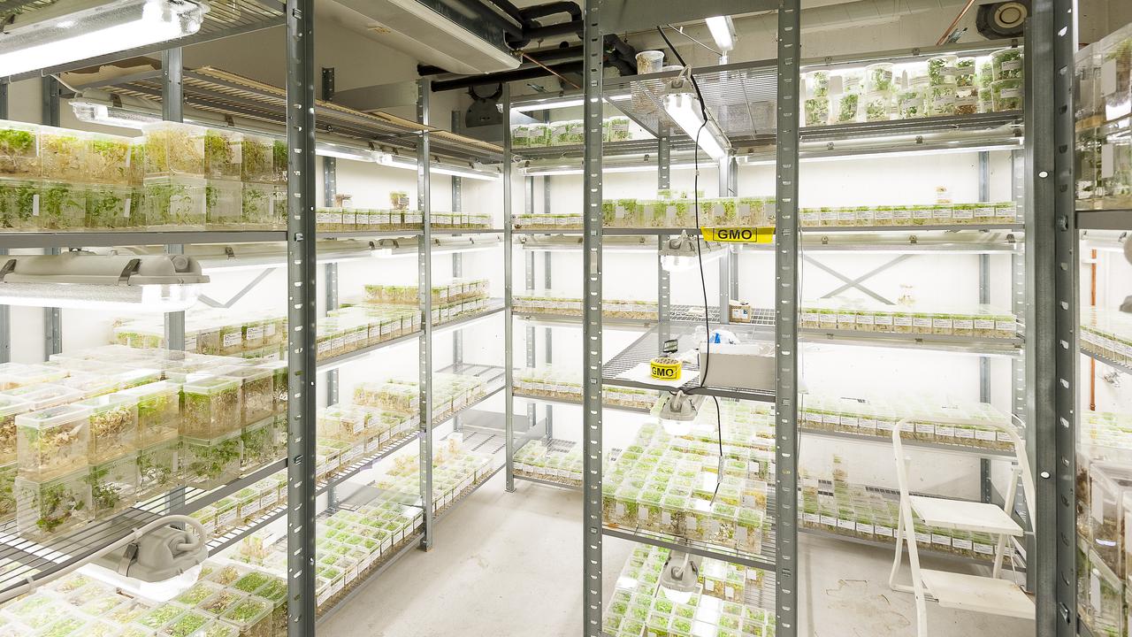 Bild från UPSC:s biobank