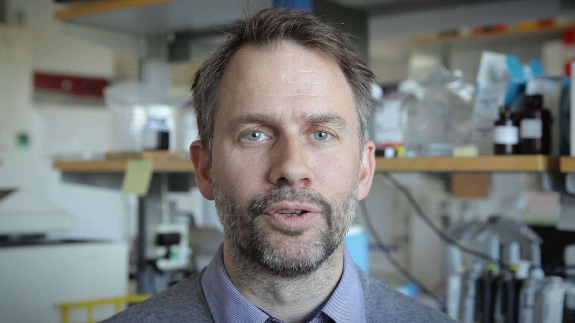 Film: Mattias Forsell