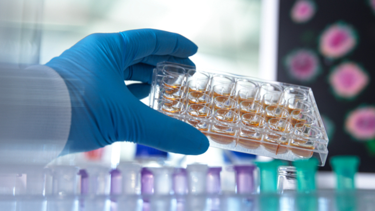 Hand som håller en platta med prover