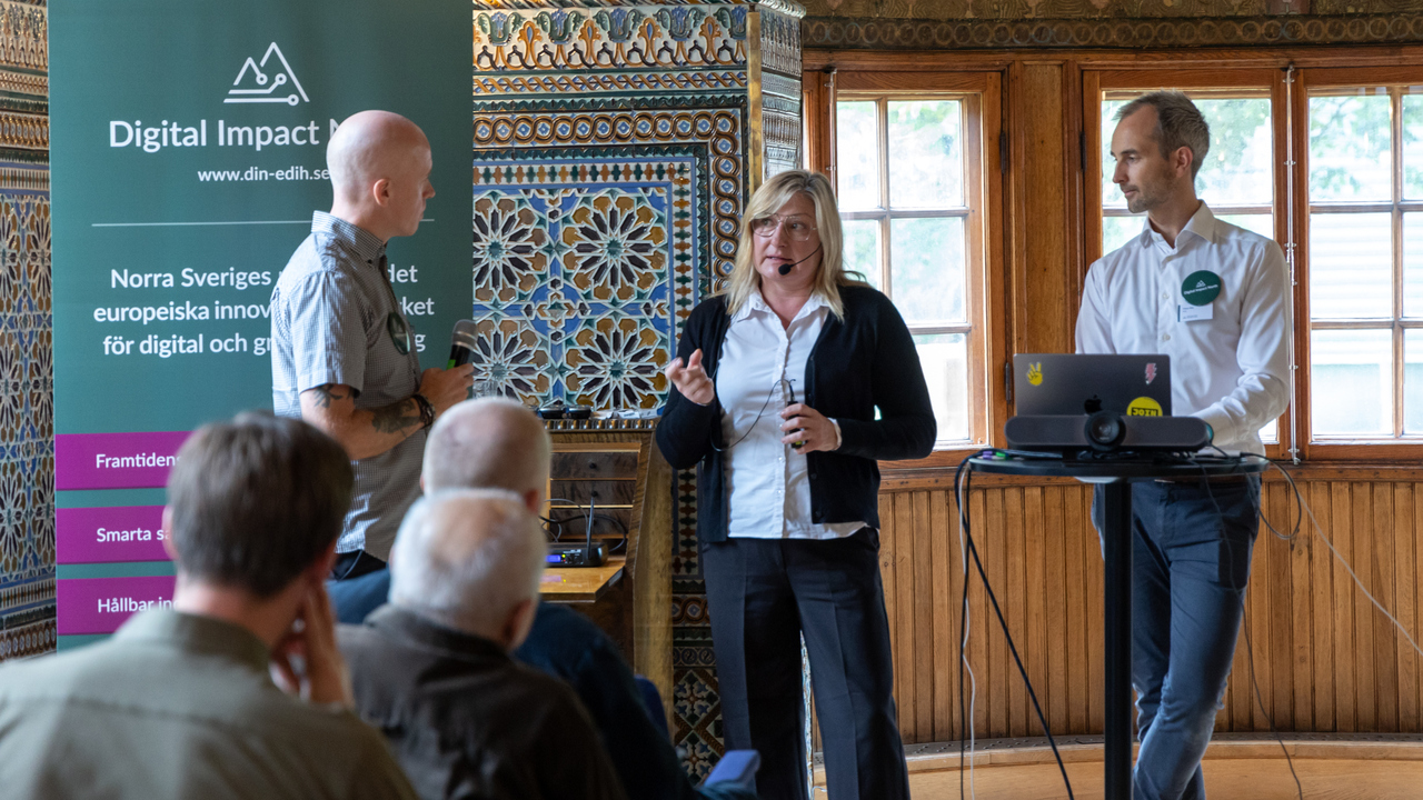 Lecture by Camilla Sandström, Umeå university