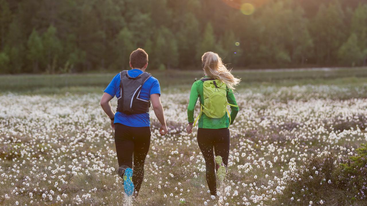 Ett par löptränar på en äng.