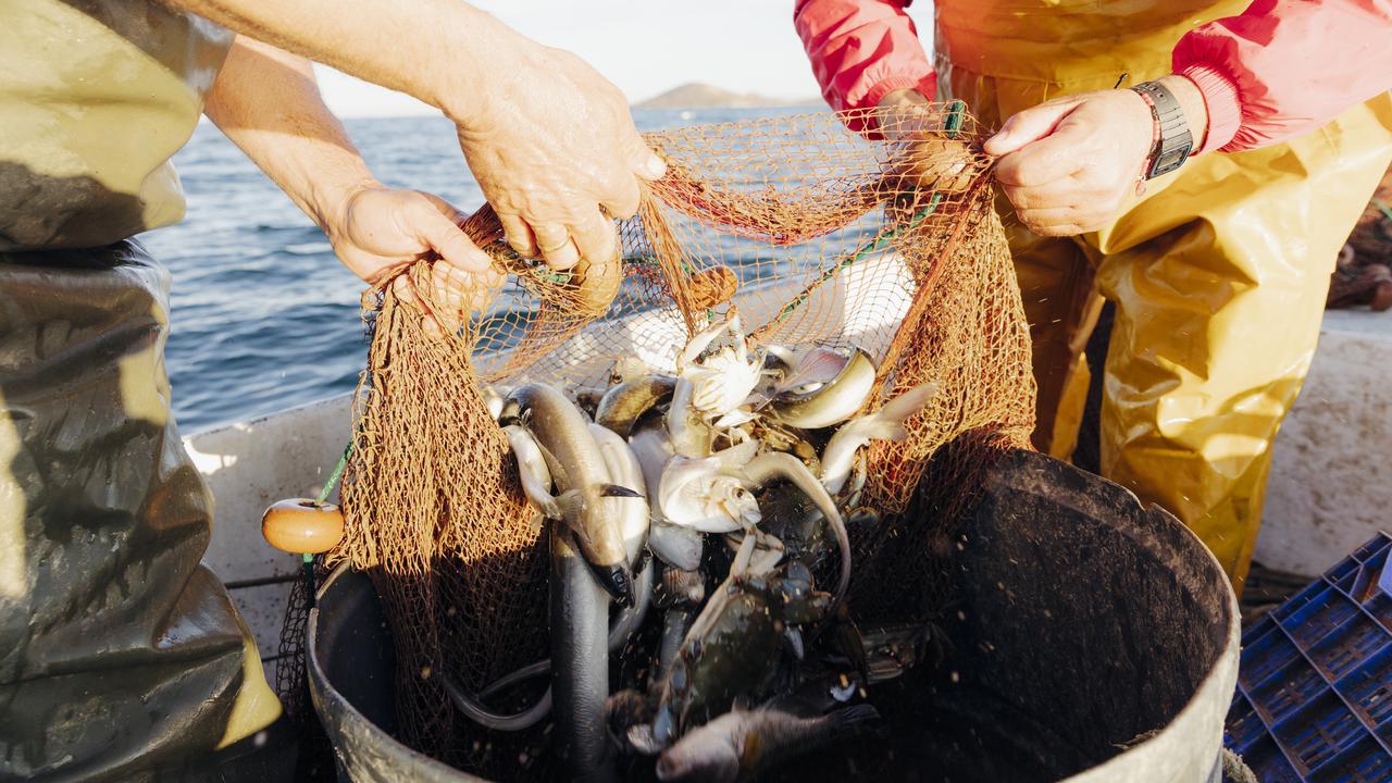 närbild på händer och fiskenät