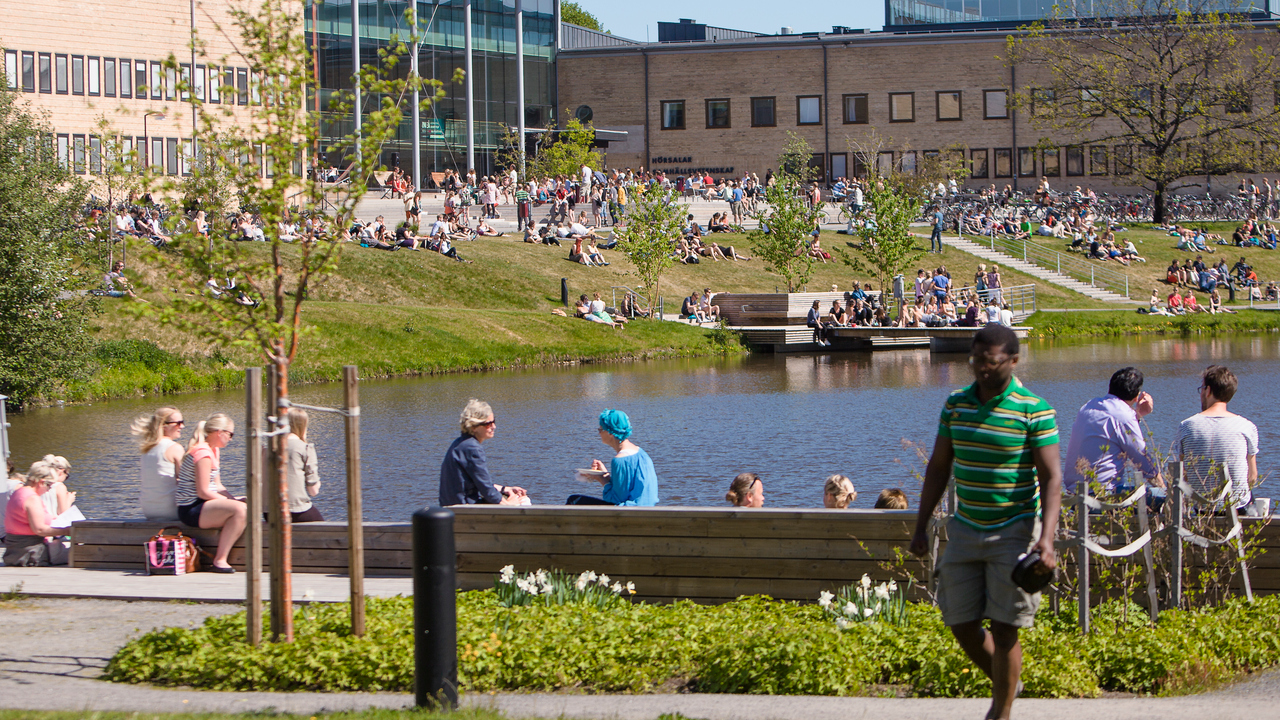 Bild på solande människor på campus