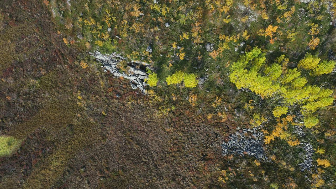 Stordalens myr, Abisko