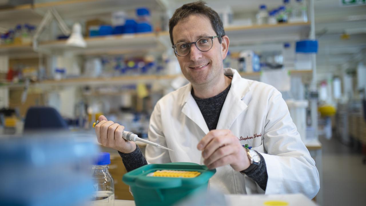 Umeå Plant Science Centre, växtforskning  Stephan Wenkel