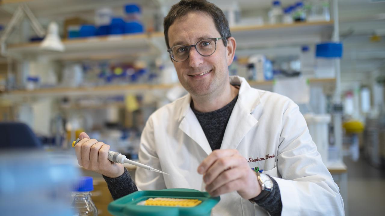 Umeå Plant Science Centre, växtforskning  Stephan Wenkel