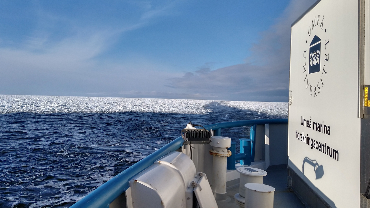 Forskningsfartyg Umeå marina forskningscentrum