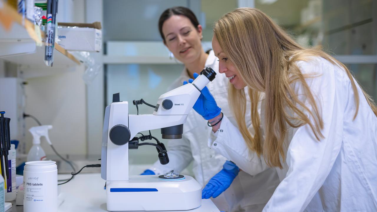 Två kvinnor i labbrockar tittar genom ett mikroskop