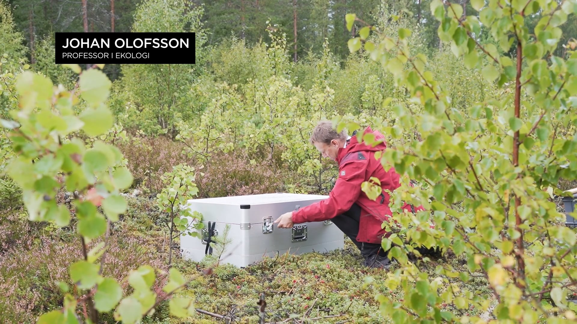 Film: Se film om Johan Olofssons forskning