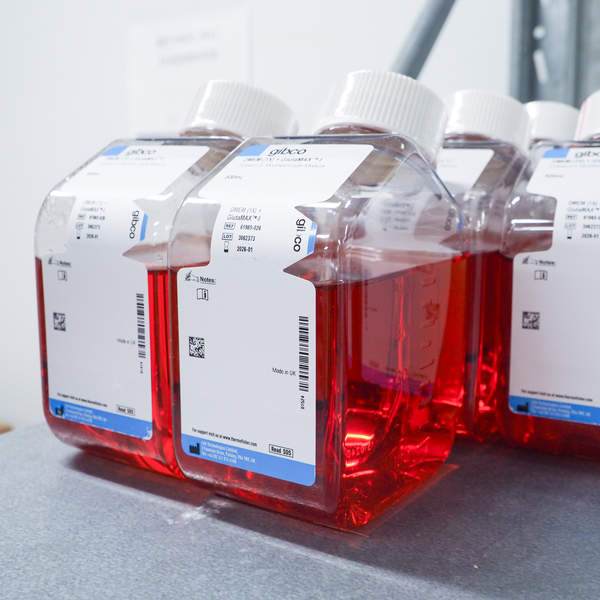 Röd vätska i Kemiförrådet