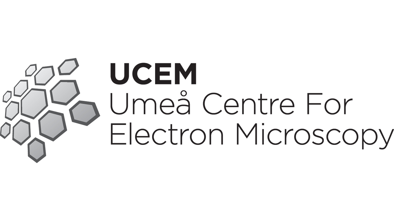 Logotype of UCEM, Umeå Centre for Electron Microscopy
