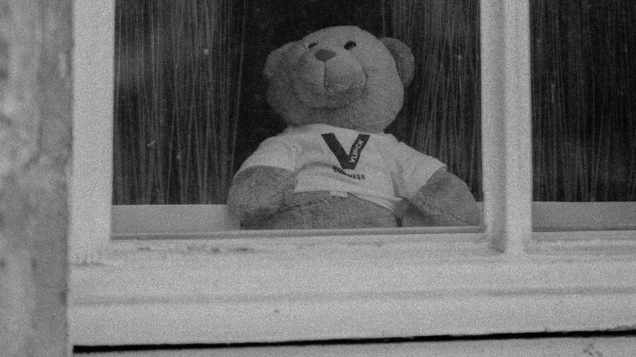 En nalle som syns i ett fönster utifrån.