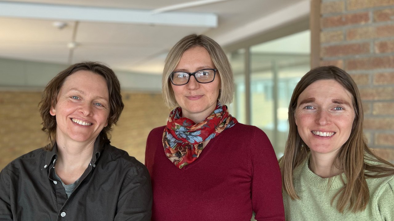 Olena Rzhepishevska, Oksana Zinchenko and Emilia Emilsson during ICM visit February 2024.