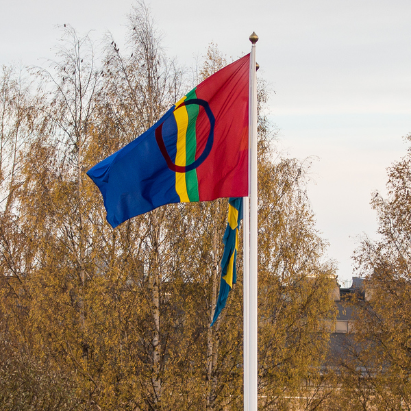 Bild på samiska flaggan
