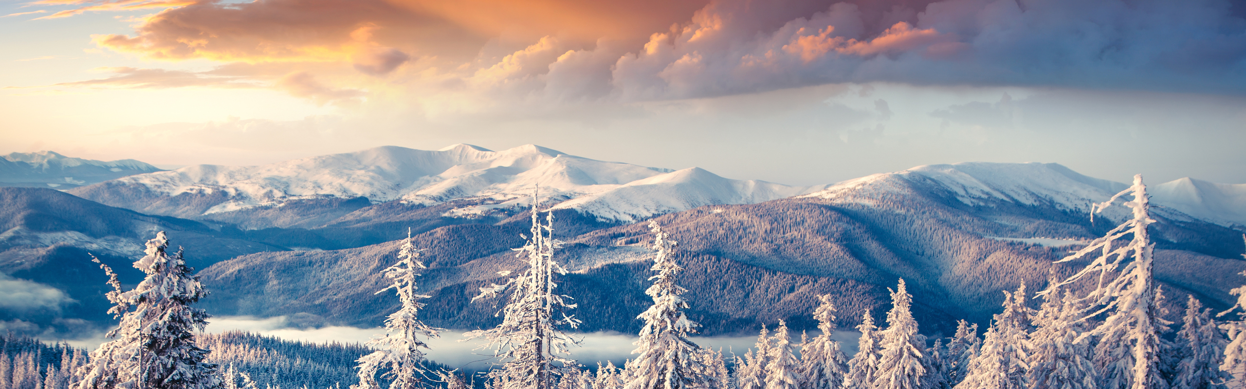 Färgstarkt vinterlandskap i soluppgång.