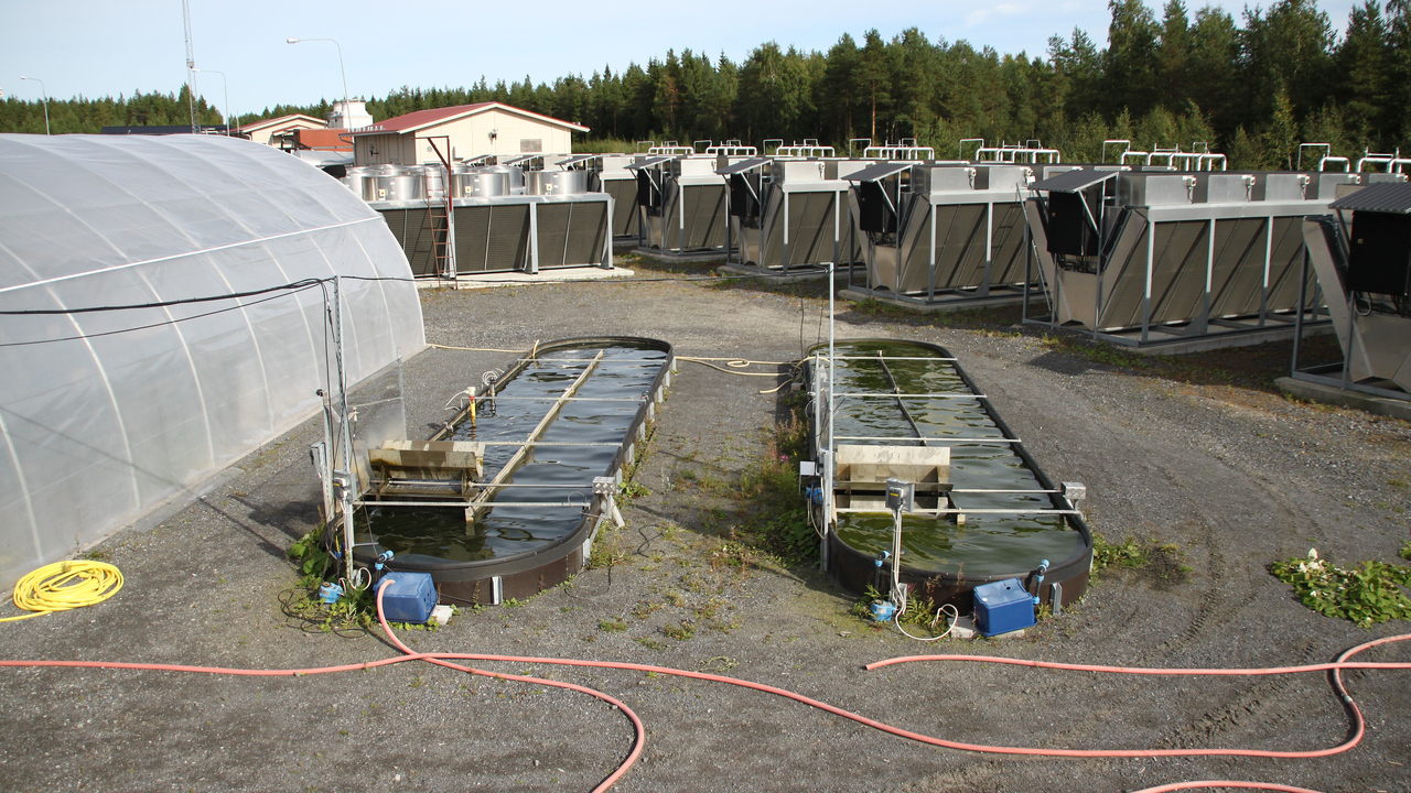 Två mindre bassänger utomhus.