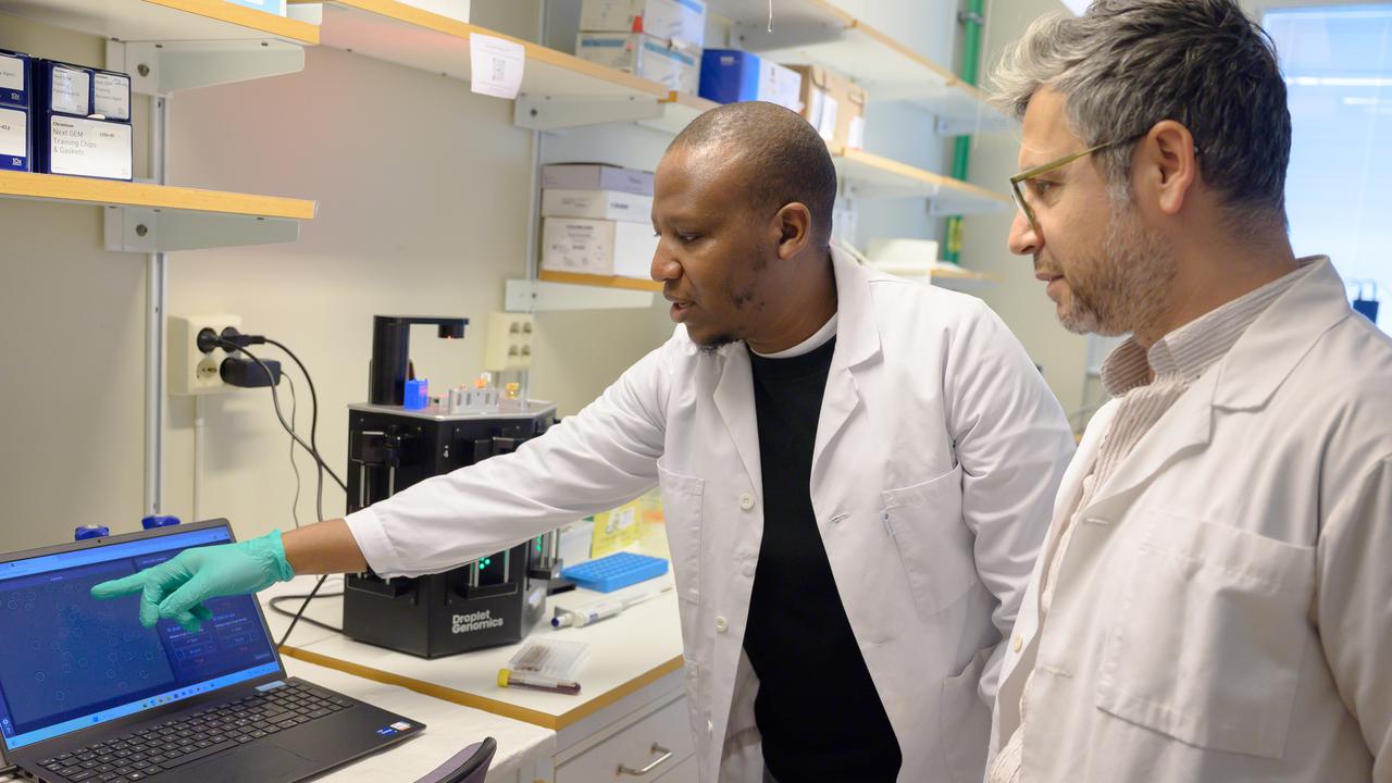 Joram Waititu and Kemal Avican work together in a lab