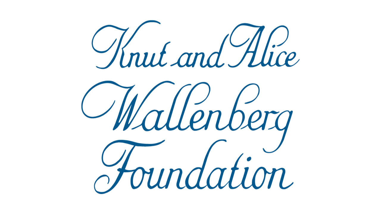 Link to website for the funding agency Knut and Alice Wallenberg Foundation