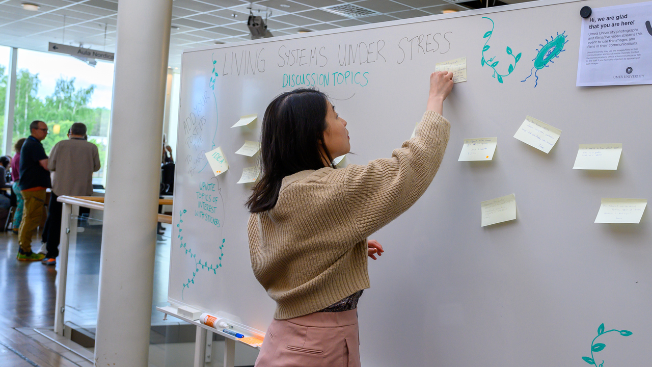 Yun-Ting Jang adds a post-it to a whiteboard