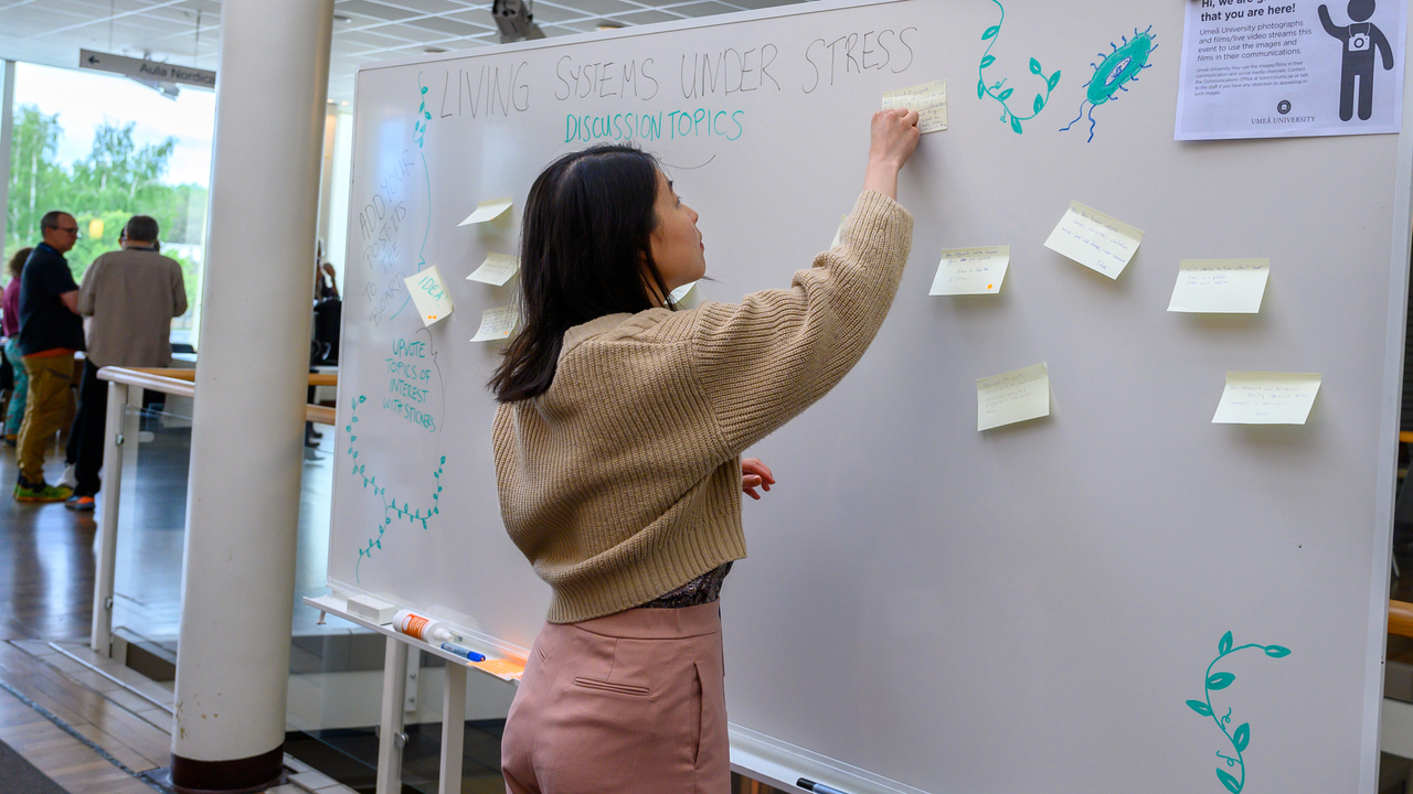 Yun-Ting Jang lägger till en post-it på en whiteboard