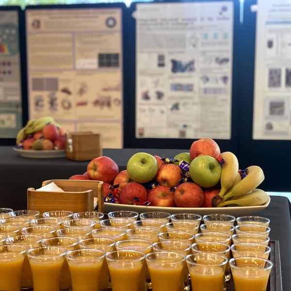 A table topped with lots of glasses filled with orange juice, scientific posters at the background