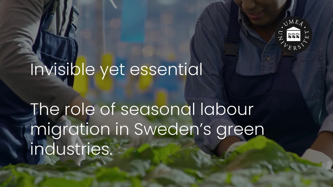 Film: Fem fakta om de gröna näringarna