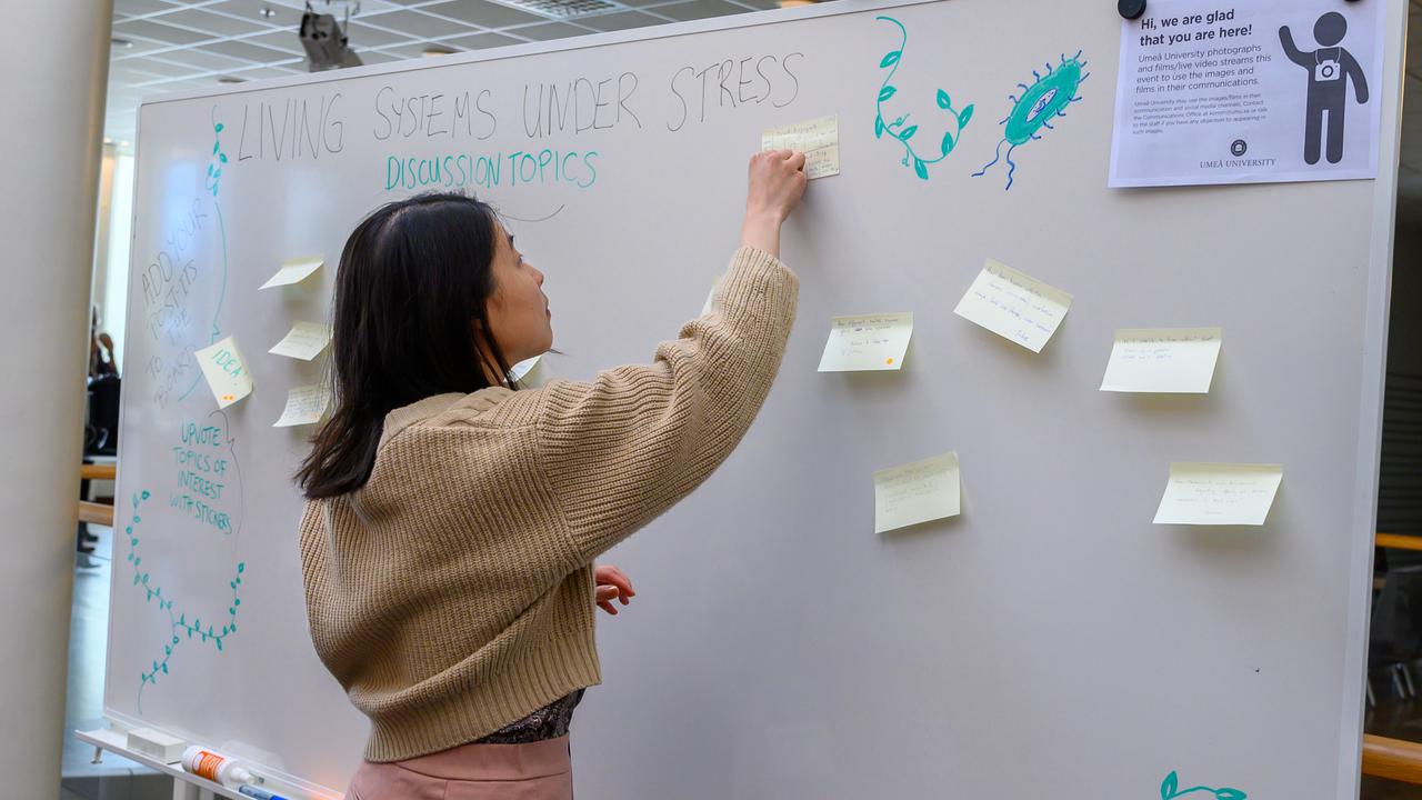 A woman adding a post-it to a whiteboard