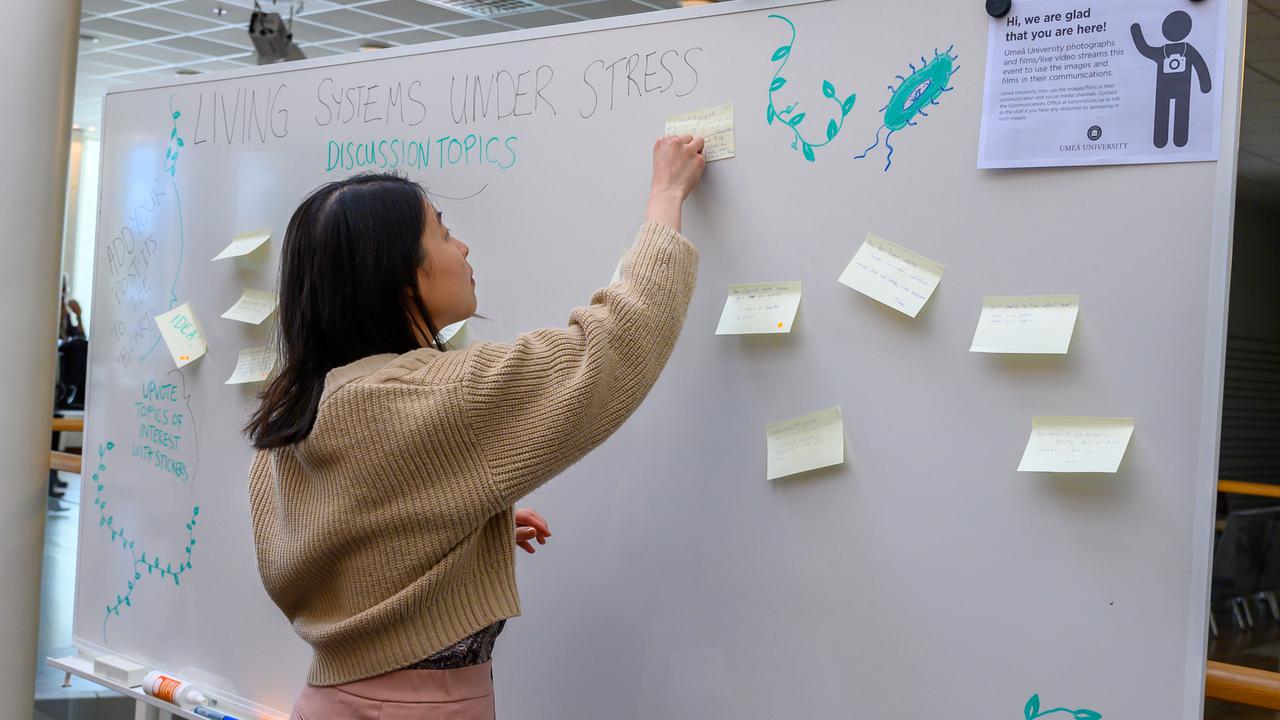 En kvinna som fäster en post-it på en whiteboard