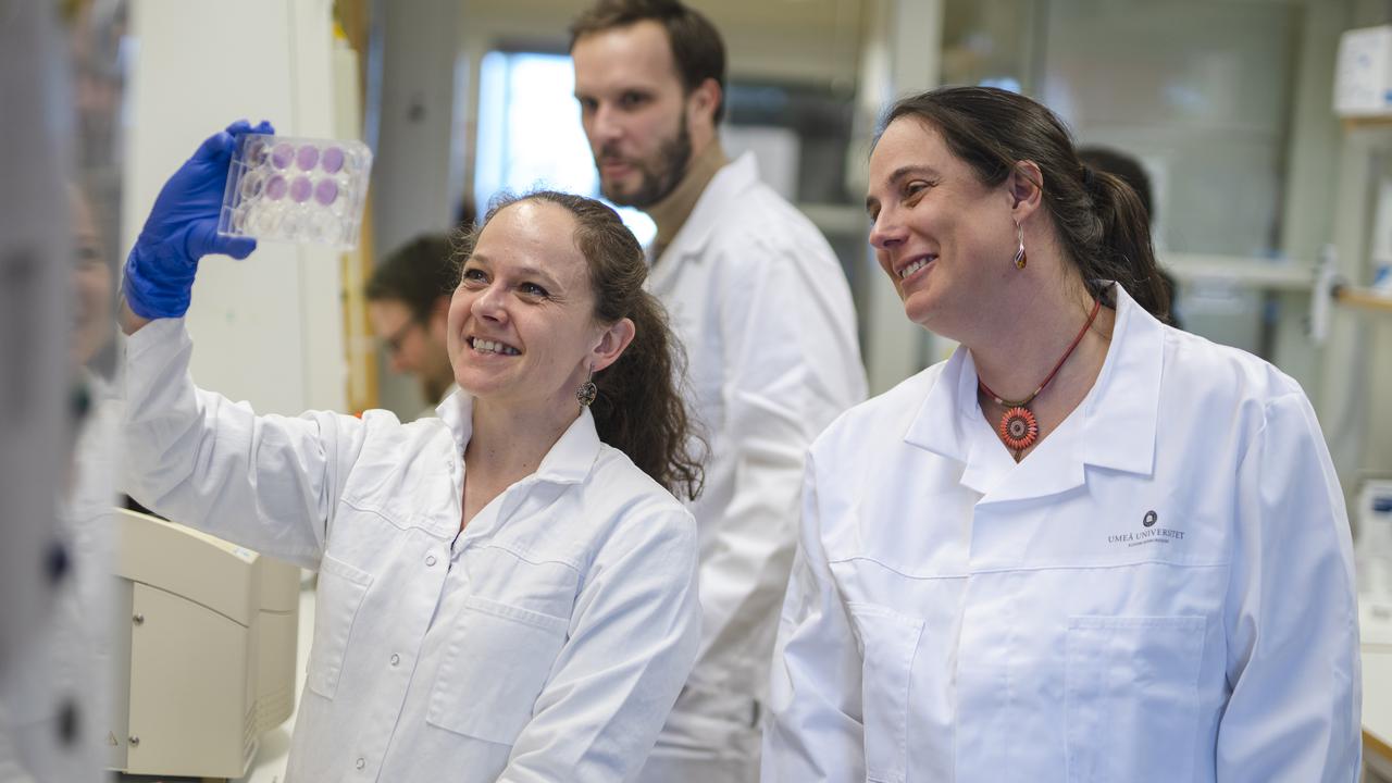 Two female researchers looking at lab tests.