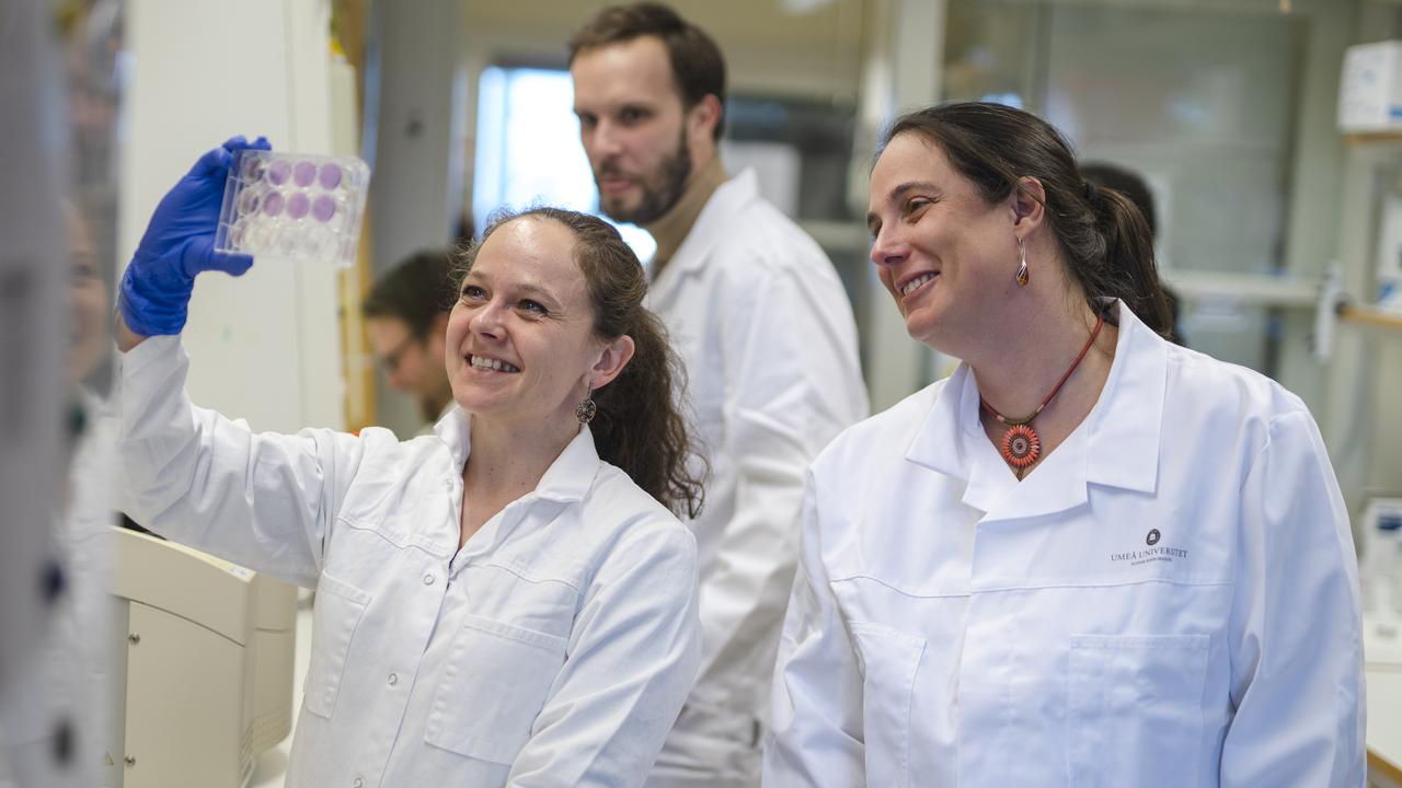 Två kvinnliga forskare tittar på labbprover.