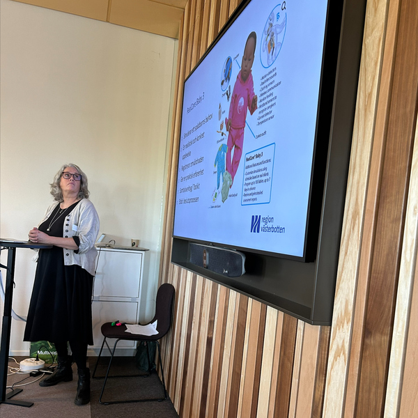 Föreläsare under en dag om stödet till Föräldrar med autism