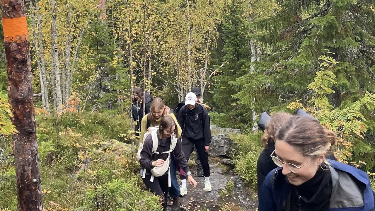 Vandring i skogen.