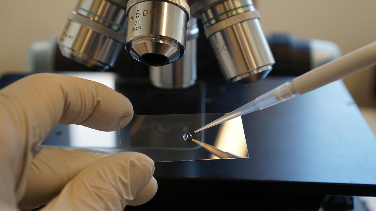 En person i vita handskar tittar på ett mikroskop.